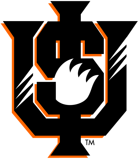 Idaho State Bengals 1997-2018 Alternate Logo t shirts iron on transfers